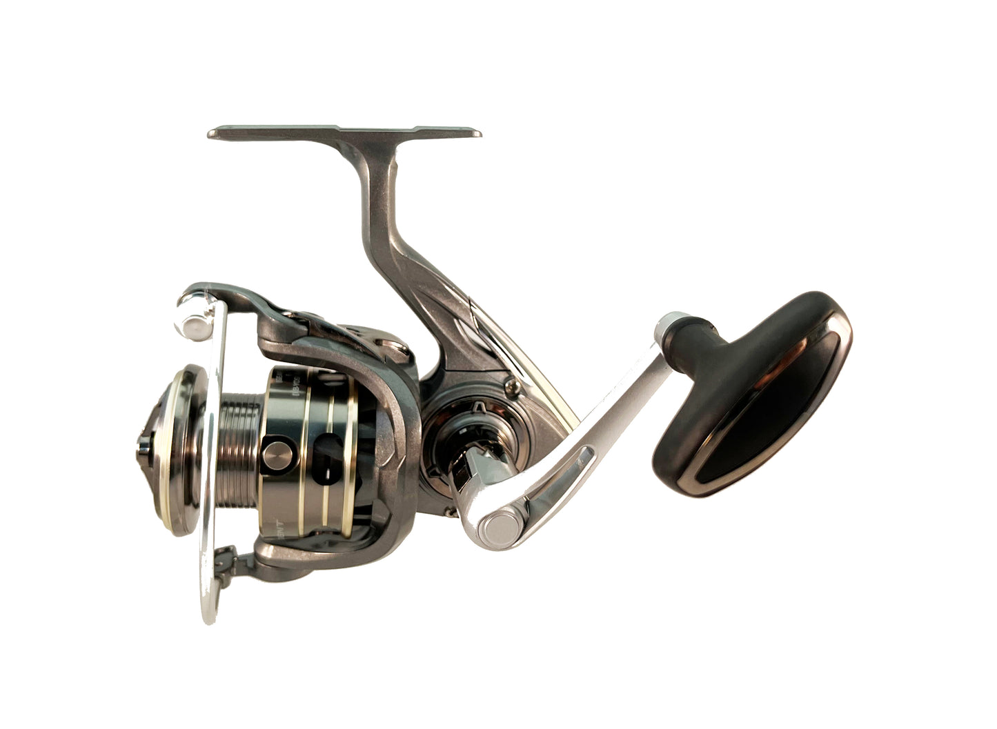Ignite Spinning Reel