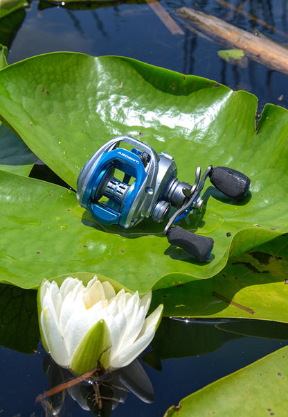 Blue and silver SUMMIT HAWK baitcaster on a leaf