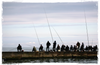 a group of people fishing on a pier